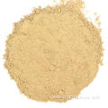 Roasted Garlic Powder High Quality Price